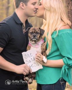 Dog announces couple's engagement